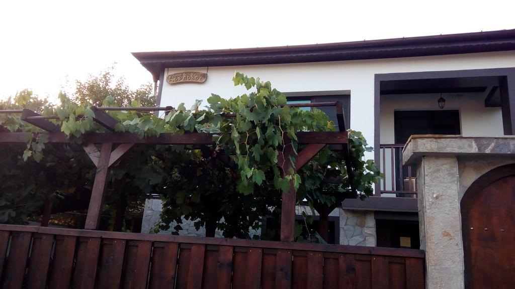 Guesthouse Orlovo Exterior photo